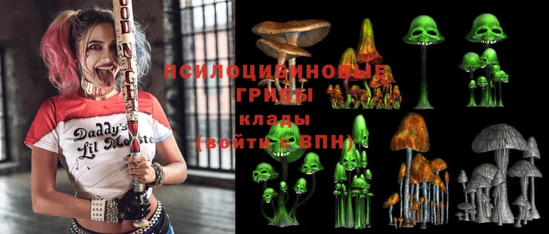 Псилоцибиновые грибы Psilocybe  Инсар 