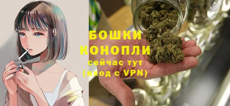 Каннабис OG Kush  Инсар 